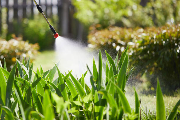 24/7 Emergency Mosquito Control experts in La Croft, OH